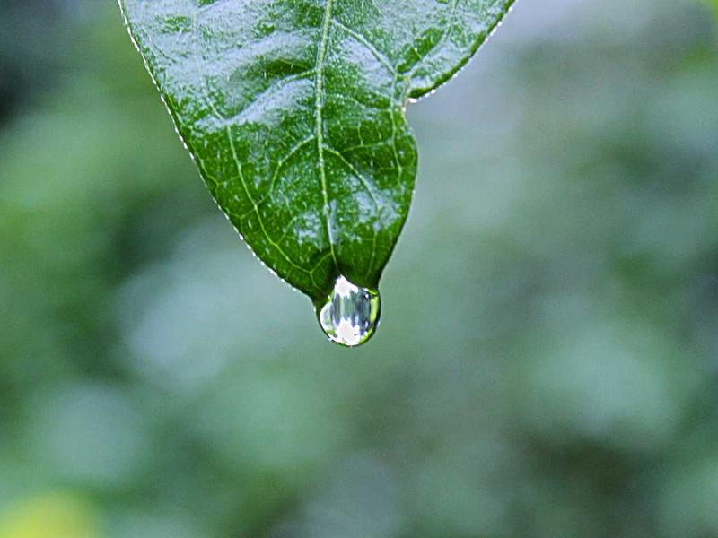 海上明月<br>qyw0fsis.cn 天涯共此时节